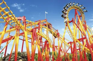 Imagem ilustrativa da imagem Voos de Vitória para o Parque Beto Carrero por R$ 685,23 (ida e volta)