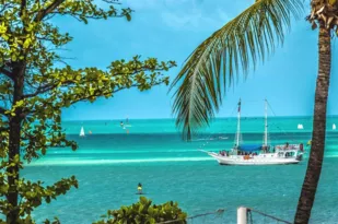 Imagem ilustrativa da imagem Voos de Vitória para Fortaleza por R$ 235 (ida e volta)