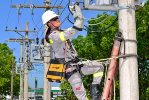 Imagem ilustrativa da imagem EDP anuncia manutenção na rede elétrica em 40 cidades. Veja a lista