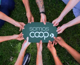 Imagem ilustrativa da imagem Quatro em cada 10 capixabas estão conectados ao cooperativismo