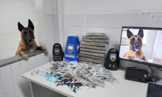 Imagem ilustrativa da imagem Cão da PM ajuda a encontrar grande quantidade de drogas em Taquara I