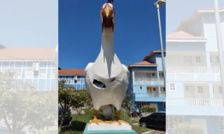 Imagem ilustrativa da imagem Estátua da Galinha, símbolo de cidade do ES, é alvo de vandalismo