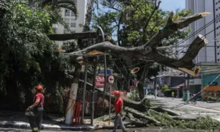 Imagem ilustrativa da imagem Falta de luz em SP: "Meu filho precisa dos aparelhos ligados para sobreviver"