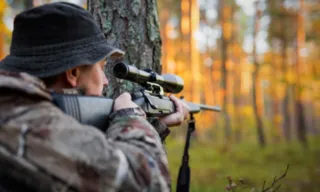 Imagem ilustrativa da imagem Governo volta atrás e proíbe armas de cano longo semiautomáticas a civis