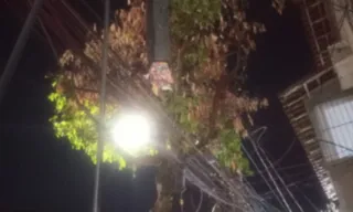 Imagem ilustrativa da imagem Homem é preso após subir em árvore e furtar 20 kg de fios em Vitória