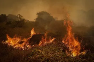 Imagem ilustrativa da imagem Incêndios têm pior outubro de sempre na Amazônia