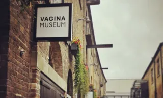 Imagem ilustrativa da imagem Museu da Vagina vai reabrir em Londres após ser fechado por falta de estrutura