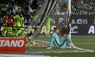 Imagem ilustrativa da imagem Palmeiras leva 3 no primeiro tempo, consegue virada épica e encosta no Botafogo
