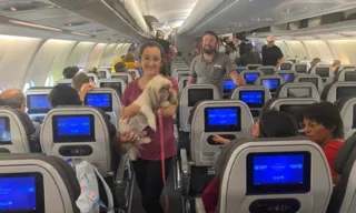 Imagem ilustrativa da imagem Segundo voo da FAB vindo de Israel traz pets além de repatriados