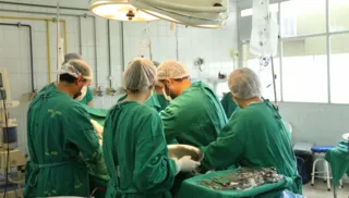 Imagem ilustrativa da imagem Transplante de órgãos cresce 11,6% no Brasil, diz Ministério da Saúde