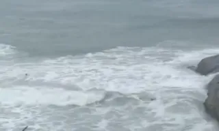 Imagem ilustrativa da imagem VÍDEO | Turistas são levados por onda ao fazerem selfie em praia do Rio de Janeiro