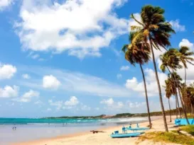 Imagem ilustrativa da imagem Voo direto de Vitória para Recife por R$ 365; veja mais promoções