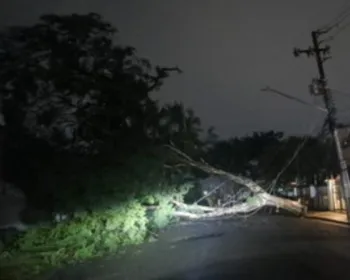 Imagem ilustrativa da imagem Chuva causa queda de 100 árvores e interrompe operação do aeroporto de Congonhas