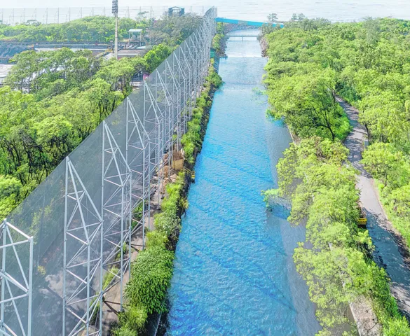 Imagem ilustrativa da imagem ArcelorMittal investe R$ 1,9 bi em gestão ambiental