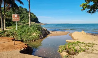 Imagem ilustrativa da imagem Anchieta: mata entre as praias de Iriri agora é área protegida