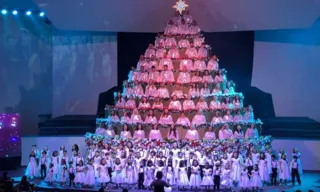 Imagem ilustrativa da imagem Árvore que Canta terá três apresentações este ano