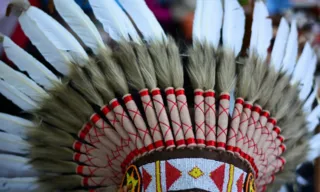 Imagem ilustrativa da imagem Cocar