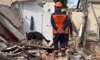 Imagem ilustrativa da imagem Corpo de Bombeiros utiliza cadela para fazer buscas em área onde casa desabou