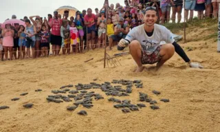 Imagem ilustrativa da imagem Espetáculo das tartarugas emociona turistas em Anchieta