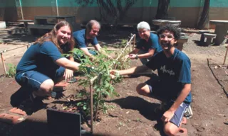 Imagem ilustrativa da imagem Estudantes desenvolvem projeto de irrigação para plantação de tomates