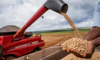 Imagem ilustrativa da imagem Exportação agropecuária do Brasil atinge valor recorde