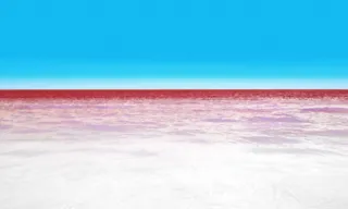 Imagem ilustrativa da imagem Maré Vermelha chega às praias de Piedade e Candeias, em Jaboatão