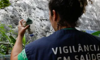 Imagem ilustrativa da imagem Minas Gerais deve atingir pico da dengue em março