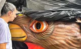 Imagem ilustrativa da imagem Mistério: Galo Gigante da Paz 2024 exibe olhar singular em preparação para Carnaval