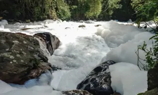 Imagem ilustrativa da imagem Município de Santa Catarina decreta emergência após vazamento de ácido sulfônico