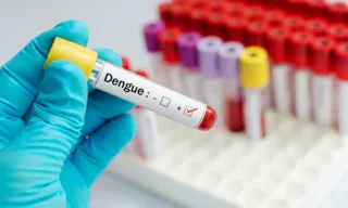 Imagem ilustrativa da imagem Planos de saúde devem cobrir exame de dengue? Entenda o que fazer