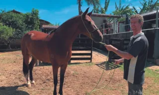 Imagem ilustrativa da imagem Rotina dos cavalos milionários no ES