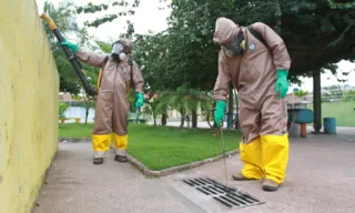 Imagem ilustrativa da imagem Saiba como evitar a formação de criadouro do Aedes aegypti em casa durante viagens