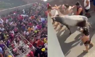 Imagem ilustrativa da imagem VÍDEO | Vaca assustada invade carnaval de rua e deixa três feridos