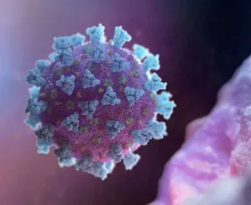 Imagem ilustrativa da imagem Cientistas criam vacina que pode proteger de vários tipos de coronavírus