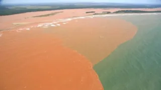 Imagem ilustrativa da imagem Justiça reconhece impactos do desastre do Rio Doce no litoral do ES