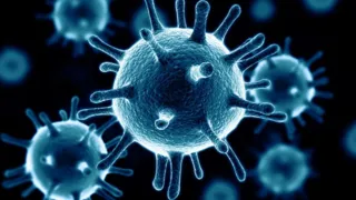 Imagem ilustrativa da imagem Próxima pandemia deve ser provocada por variante de vírus causador da gripe