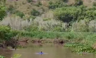 Imagem ilustrativa da imagem Criança é encontrada morta após entrar sozinha em rio do Norte do ES