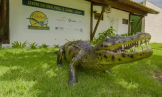 Imagem ilustrativa da imagem Cultura e natureza em novo espaço na Serra