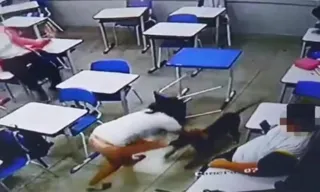Imagem ilustrativa da imagem Estudante é atacada por cachorro dentro de sala de aula em escola de Goiás