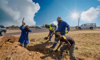 Imagem ilustrativa da imagem Feliz dia do trabalho para quem!?