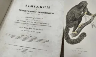 Imagem ilustrativa da imagem PF recupera livro de 1823 furtado há 16 anos no Pará