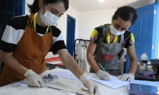 Imagem ilustrativa da imagem Projeto inédito para preservação de vestimentas sacras