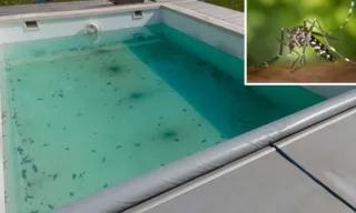 Imagem ilustrativa da imagem Surto de dengue acende alerta para cuidados com piscinas