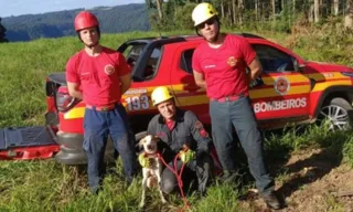 Imagem ilustrativa da imagem VÍDEO | Bombeiros percorrem mais de 40 km, usam rapel e resgatam cão em cânion
