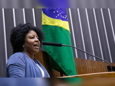 Imagem ilustrativa da imagem Defesa de Brazão quer deputada capixaba fora de relatoria de cassação