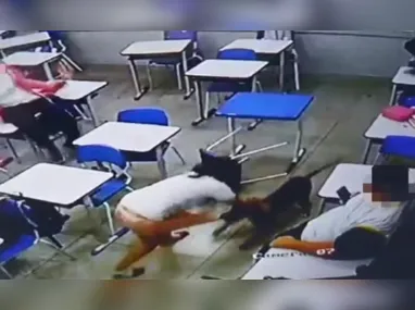 Imagem ilustrativa da imagem Estudante é atacada por cachorro dentro de sala de aula em escola de Goiás