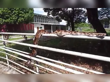 Chico Lessa é um dos grandes destaques capixabas na MPB