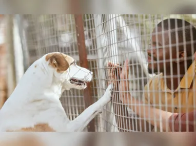 Alerta de onda de calor no Espírito Santo