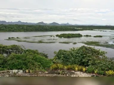 Lama da Samarco na foz do Rio Doce: foram reconhecidos prejuízos e danos ao litoral capixaba com rompimento de barragem