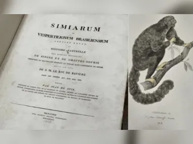 Imagem ilustrativa da imagem PF recupera livro de 1823 furtado há 16 anos no Pará